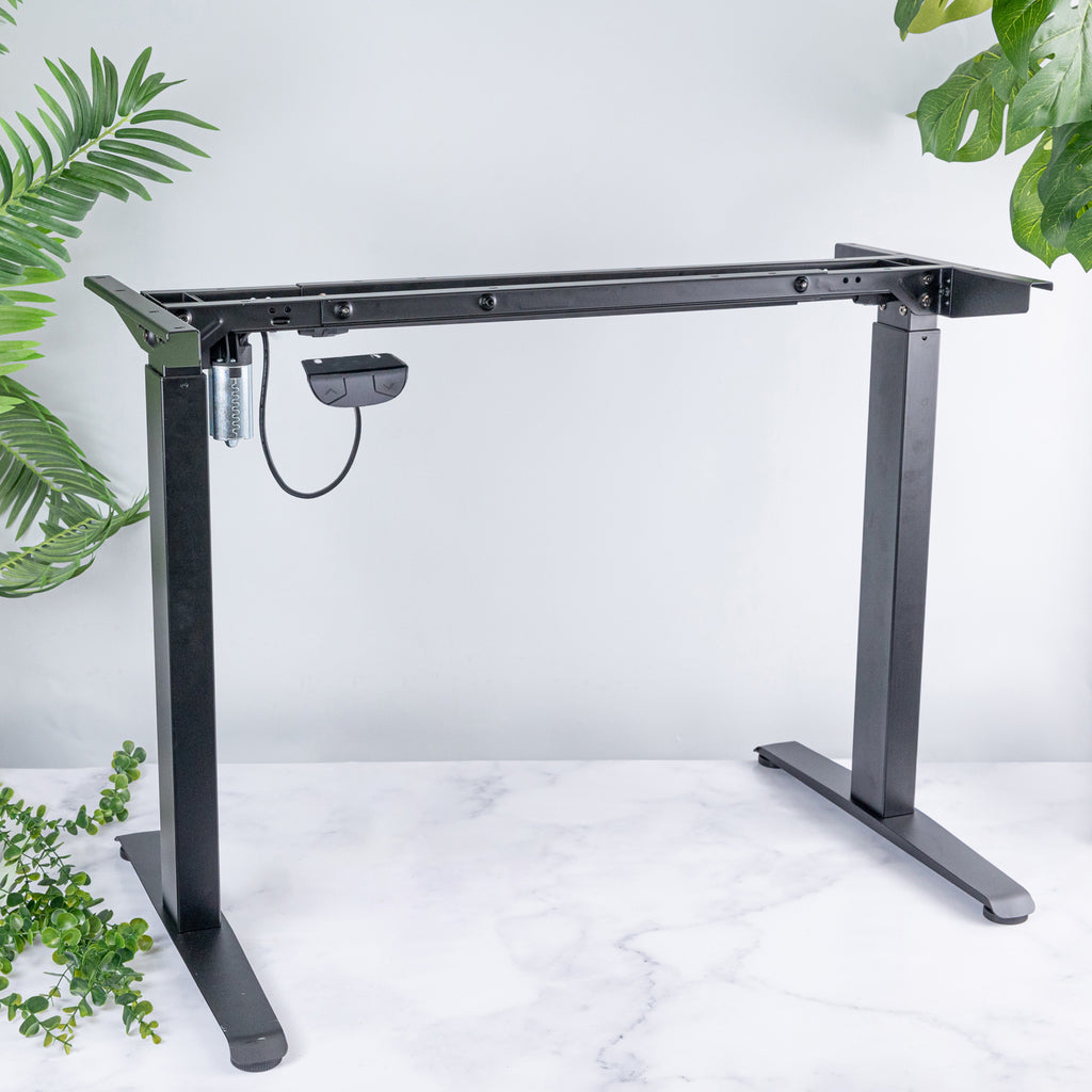 Electric Height Adjustable Standing Desk with Oak Solid Wood Desktop