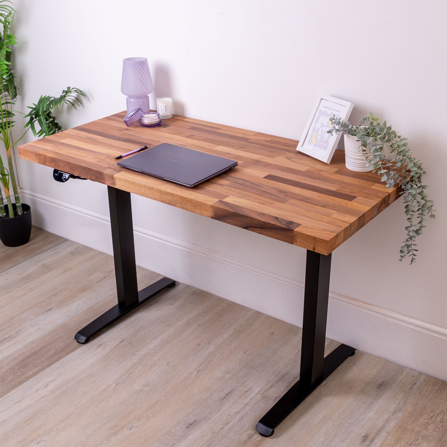 Electric Height Adjustable Standing Desk with Walnut Solid Wood Desktop