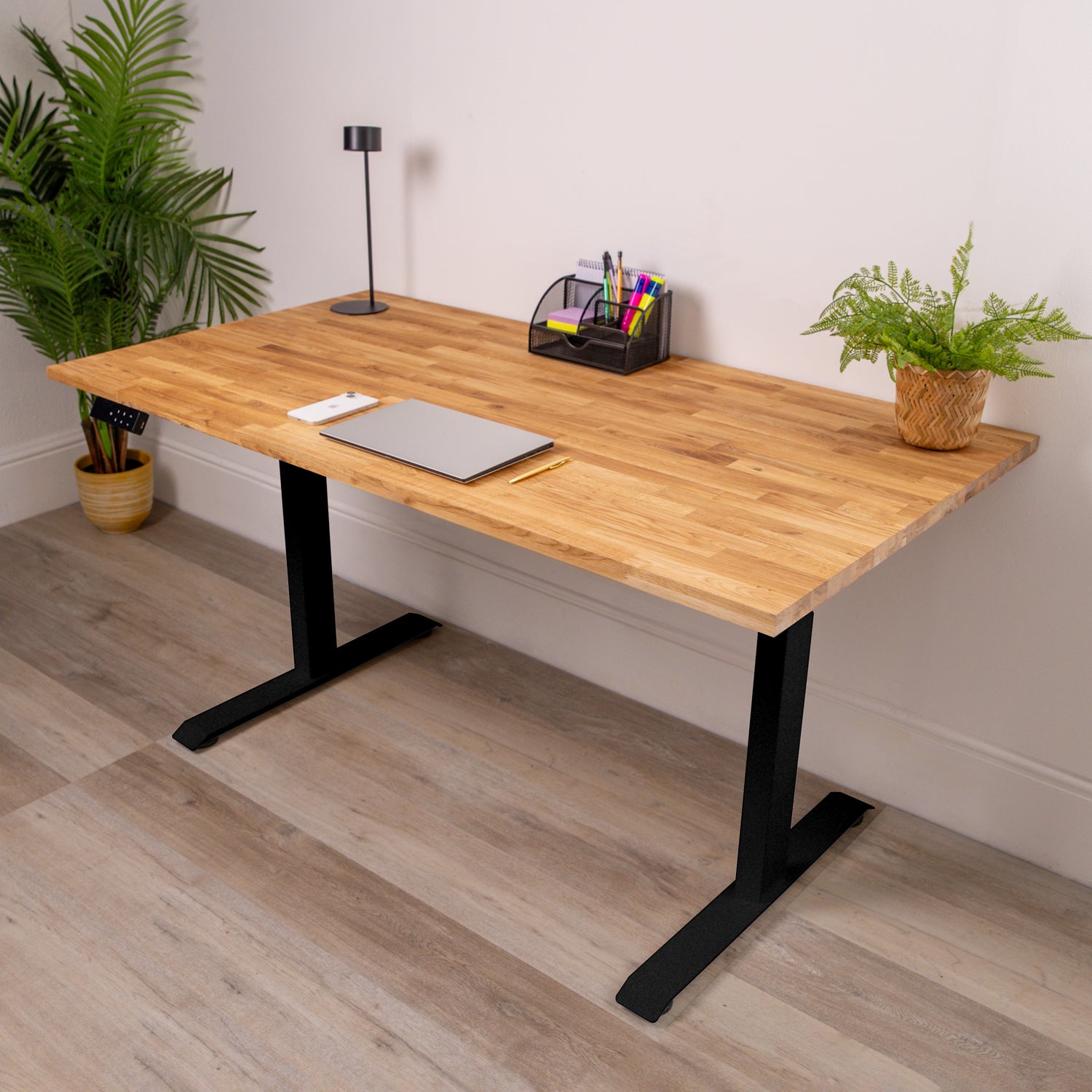 Premium Black Sit Stand Electric Desk with Oak Wooden Desktop