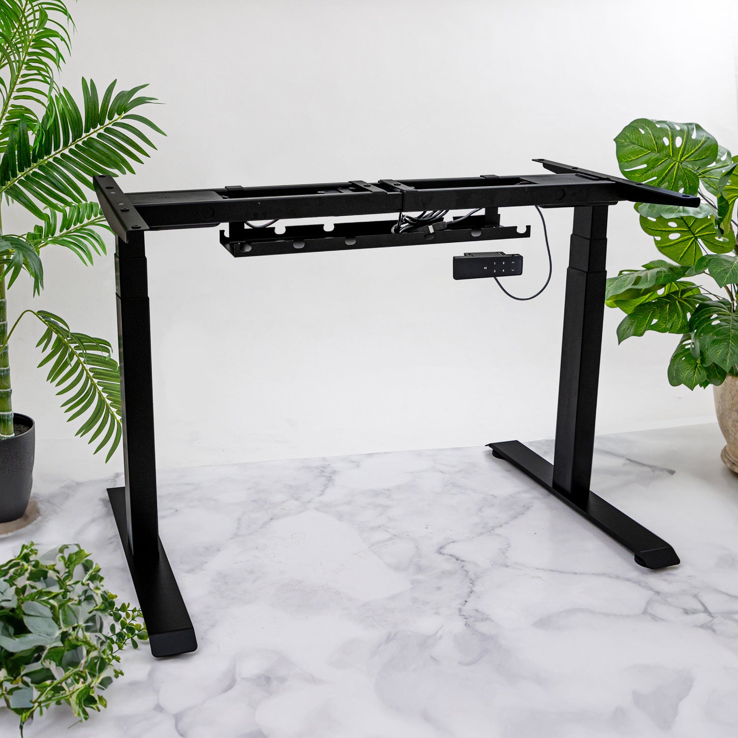 Premium Black Sit Stand Electric Desk with Prime Oak Wooden Desktop