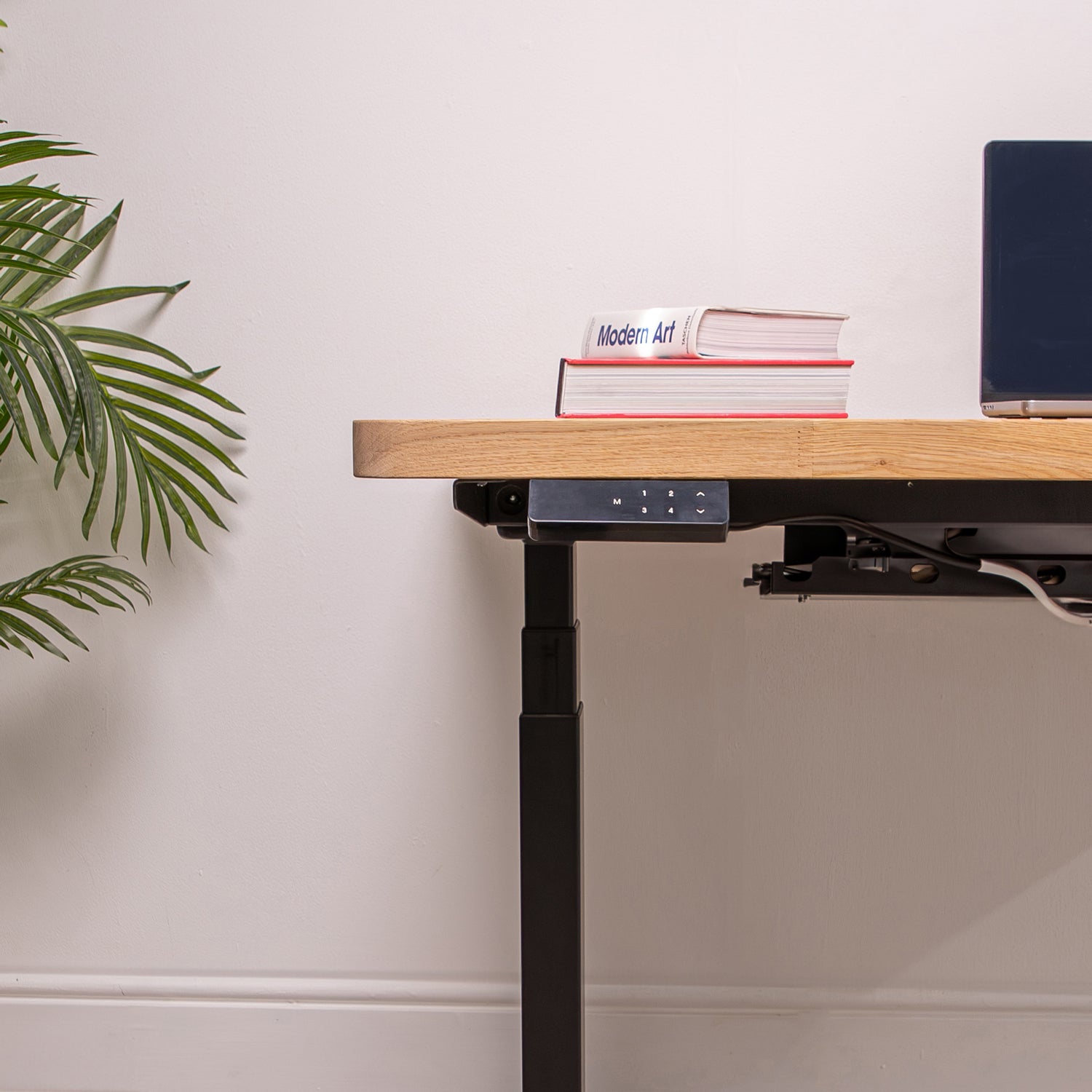 Premium Black Sit Stand Electric Desk with Prime Oak Wooden Desktop