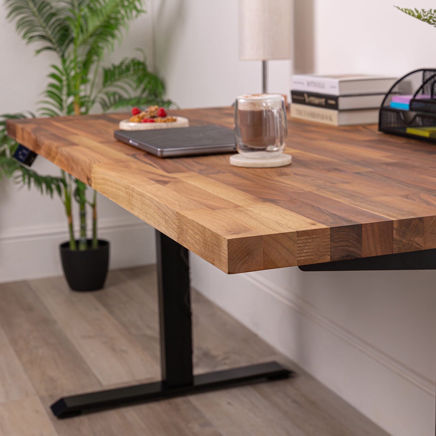 Premium Black Sit Stand Electric Desk with Walnut Wooden Desktop