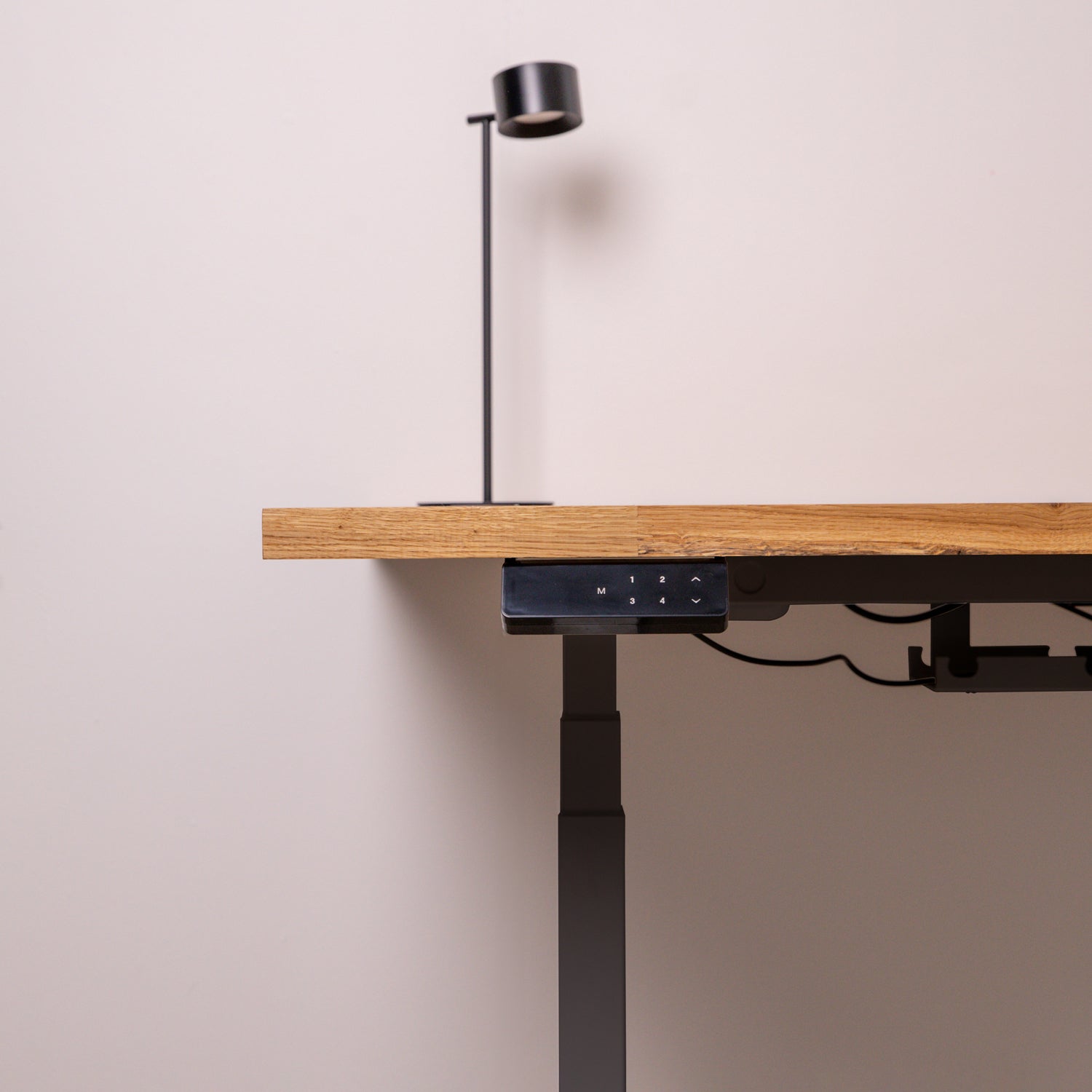 Premium Dual Motor Black Standing Desk with Oak Solid Wood Desktop